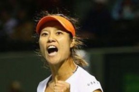 米尔扎布尔 第三季,揭秘神秘家族的传奇故事