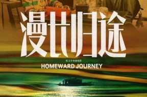 漫长归途,探寻心灵归宿的旅程