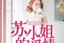 苏小姐你老公掉了,一场温馨的寻回之旅