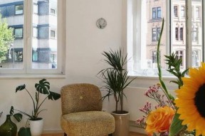 让阳光晒满家,让阳光洒满家的温馨时光