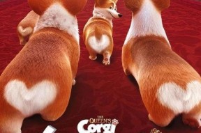 女王的柯基（国语版）