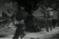 人欢马叫,欢乐盛宴中的活力瞬间